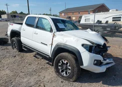 3TYCZ5AN3PT159617: 43235205