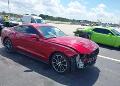 1FA6P8TH8K5132814: 43236618