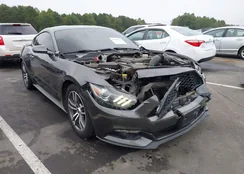 1FA6P8TH0G5251707: 43239421