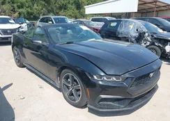 1FAGP8UH0R5105961: 43239864