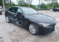 ZARFAMAN0M7648062: 43239892