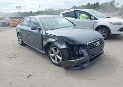 WAUFFAFL1CN016681: 43240706