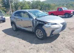 JTJDARBZ0L5011499: 43242395