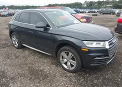 WA1BNAFYXJ2053530: 43244076