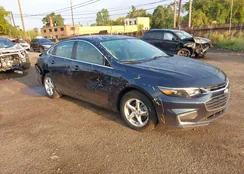 1G1ZB5ST1JF204805: 43243757