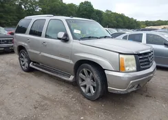 1GYEK63N13R313661: 43243781