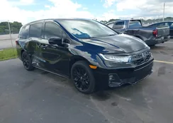 5FNRL6H71SB059730: 43245373