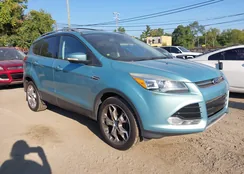 1FMCU9J90DUC05170: 43245528