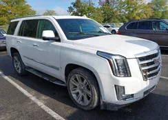 1GYS4BKJ9GR303485: 43245584