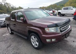 5FPYK16519B108638: 43245730