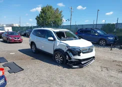 5FNYF6H50MB098880: 43245788