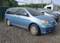 5FNRL38709B054219: 43254222