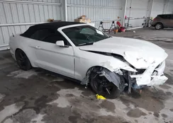 1FATP8EMXF5341040: 43253549