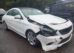 WDDSJ4GB1FN282199: 43257235