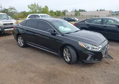 5NPE34AF3KH773476: 43259954