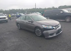 1HGCR6F73EA002919: 43260556