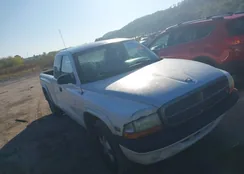 1B7GL22Y7XS303649: 43265065