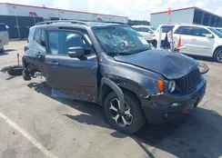 ZACNJDC12MPN31583: 43265761