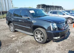 1GYS4BEF7DR207955: 43266445