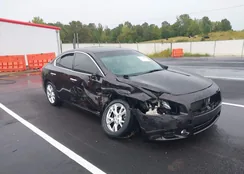 1N4AA5AP7DC816398: 43268207