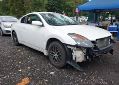 1N4AL24E79C156843: 43269833