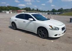 1N4AA5AP5CC845445: 43272095