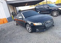 WAUVGAFH1BN012519: 43277994