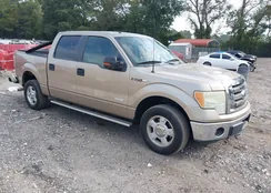 1FTFW1CT3BFB75055: 43278039