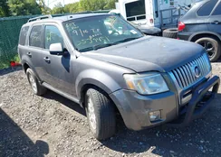 4M2CN9BGXBKJ03795: 43281294