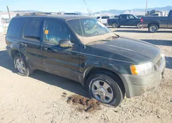 1FMYU93104KA24059: 43281809