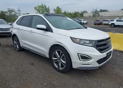 2FMTK4AP1FBB49594: 43282213