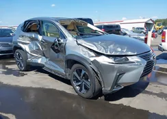 JTJGARBZ9M2195101: 43287242