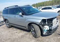 5NMP44GL1RH024895: 43289052