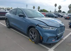 3FMTK1RMXPMA17362: 43289520