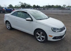 WVWFW7AH2CV006055: 43290893