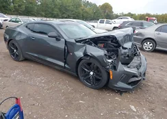 1G1FB1RSXG0158086: 43290432