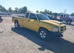 1D7HW42J46S584677: 43295287