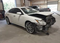 1N4AA5AP3DC819217: 43294735