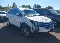 5J6RM4H7XEL116536: 43296480