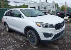 5XYPGDA52HG241284: 43298471