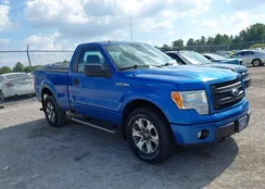 1FTMF1EM1DFB94817: 43299729