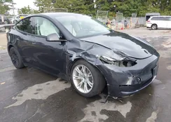 7SAYGDEEXRA255294: 43300864