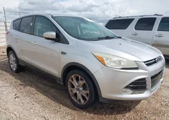 1FMCU0HX1DUD11921: 43300441