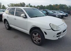 WP1AB29P85LA66102: 43300501