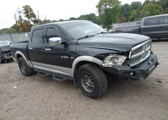 1D3HV13T49J508762: 43303479