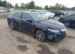 19UUB1F3XHA004339: 43304881