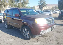 5FNYF3H64CB015876: 43304944