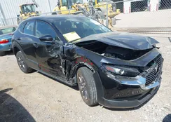 3MVDMBAM8RM607825: 43304719