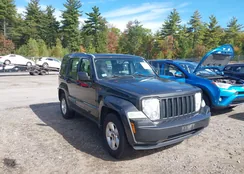 1J4PN2GK7BW536702: 43309648