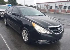 5NPEB4AC6DH627472: 43311173